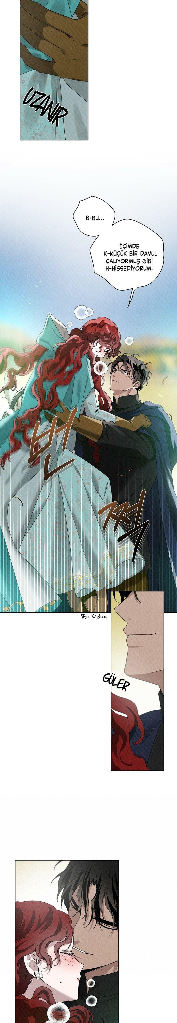 3-cm355pvvs0000ieyxlberxfl4