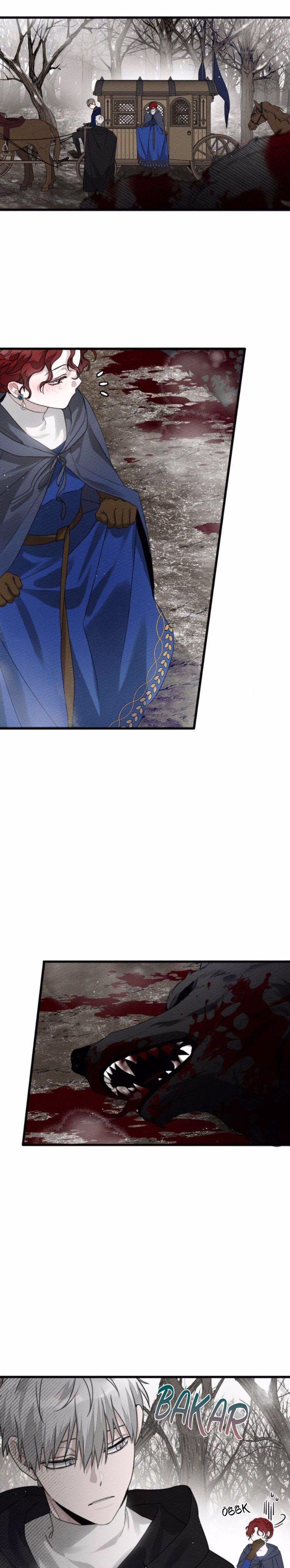 22-cm355pvvs0000ieyxlberxfl4