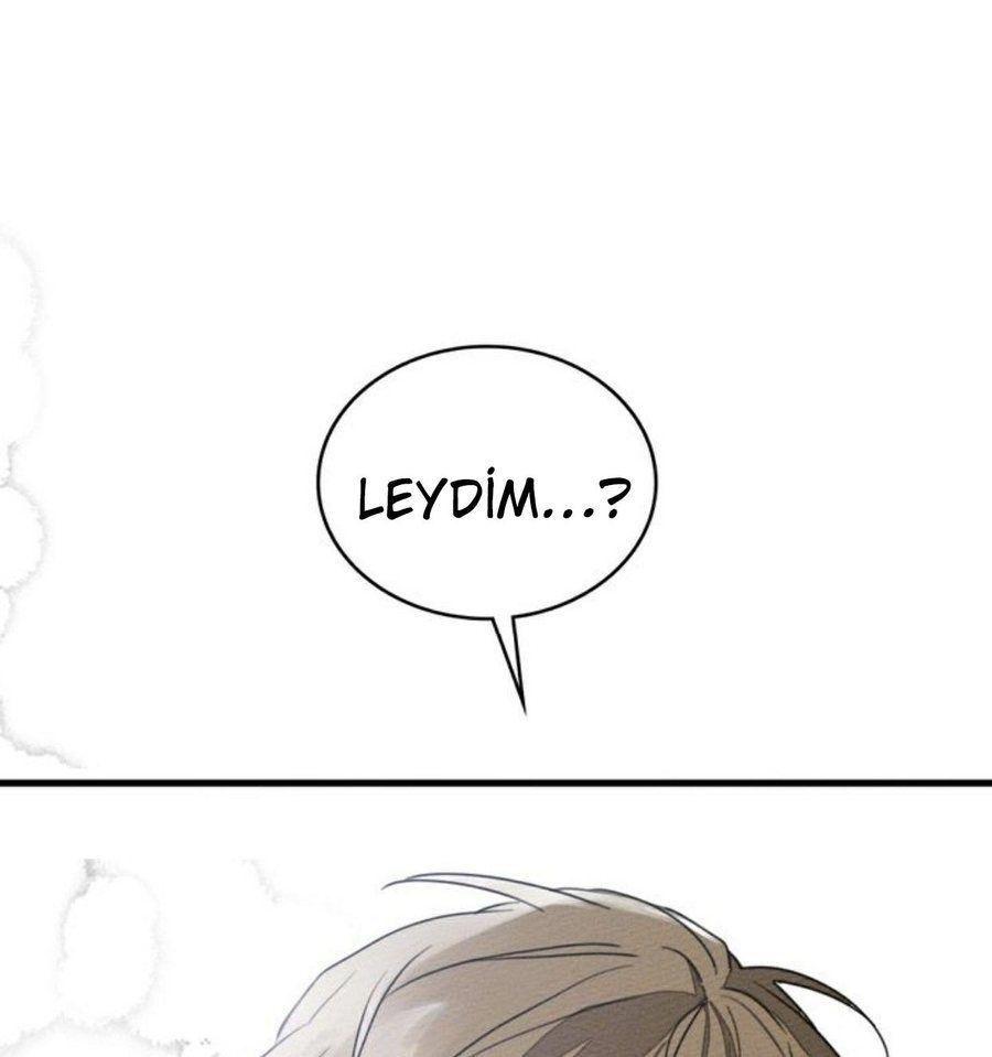 144-cm355pvvs0000ieyxlberxfl4