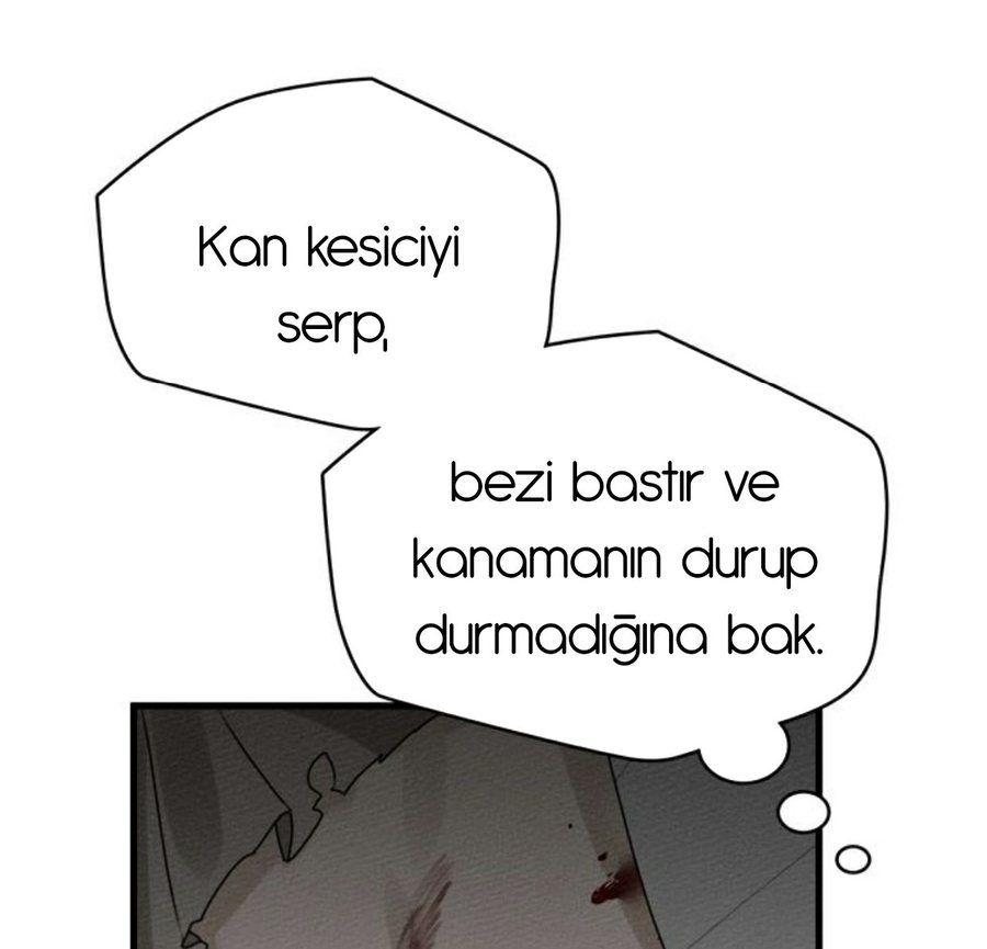47-cm355pvvs0000ieyxlberxfl4