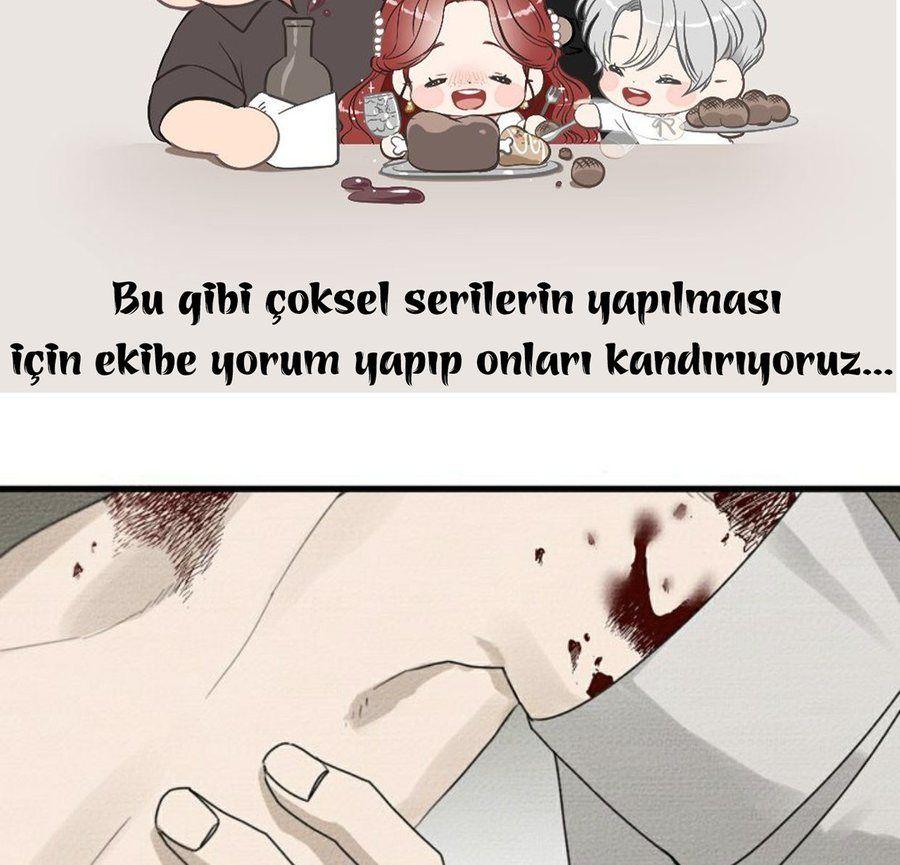 62-cm355pvvs0000ieyxlberxfl4
