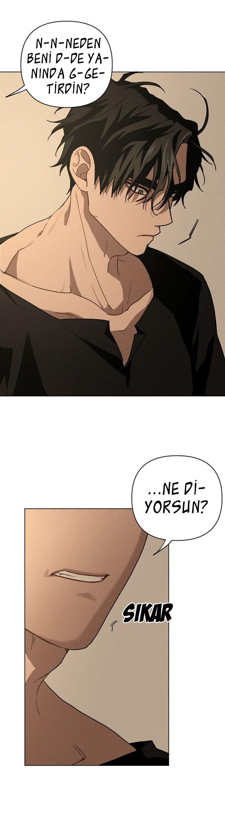 37-cm355pvvs0000ieyxlberxfl4