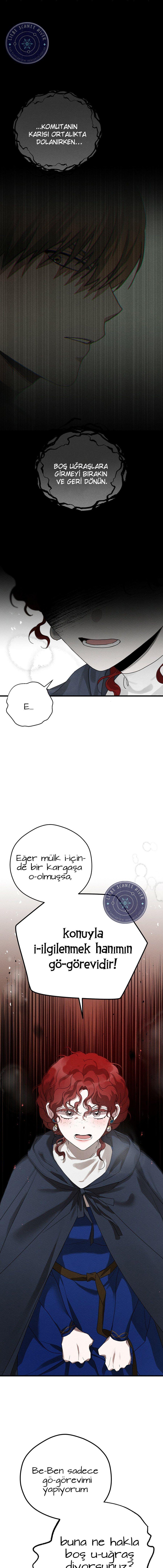 1-cm355pvvs0000ieyxlberxfl4