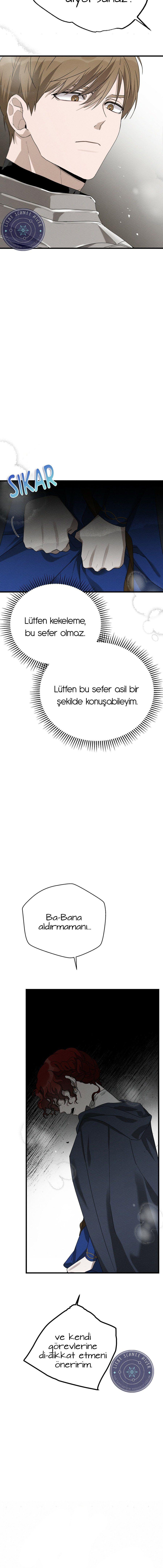 2-cm355pvvs0000ieyxlberxfl4