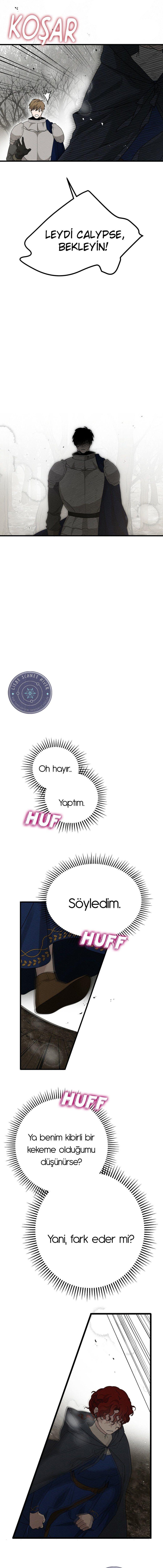 3-cm355pvvs0000ieyxlberxfl4