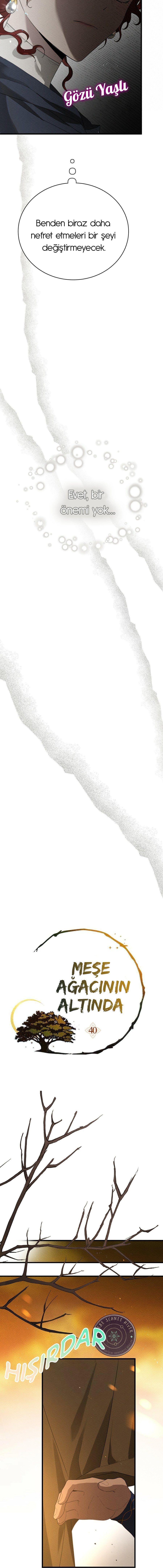 5-cm355pvvs0000ieyxlberxfl4