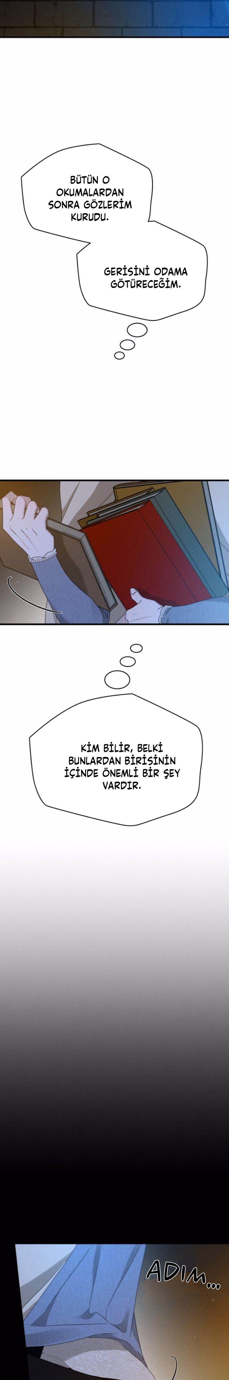 21-cm355pvvs0000ieyxlberxfl4