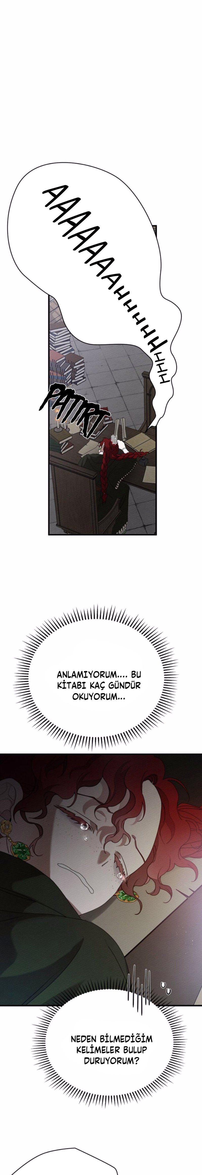 34-cm355pvvs0000ieyxlberxfl4