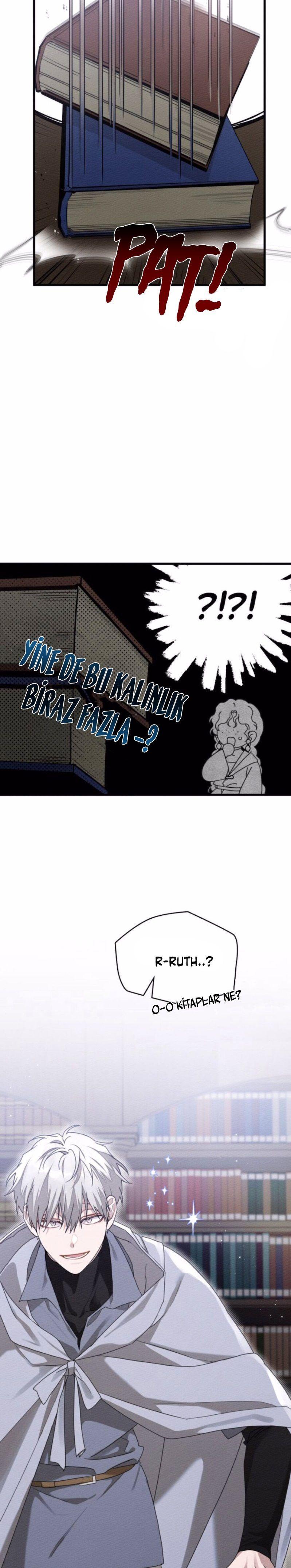 25-cm355pvvs0000ieyxlberxfl4