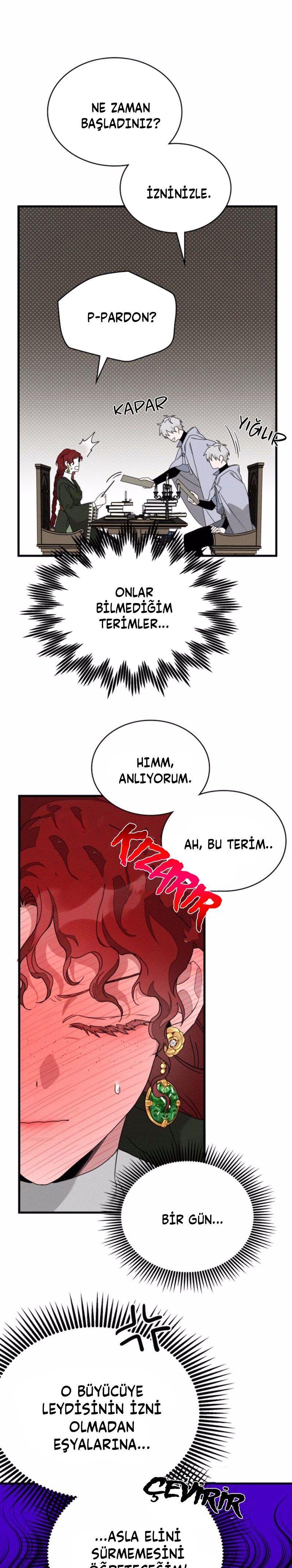 5-cm355pvvs0000ieyxlberxfl4