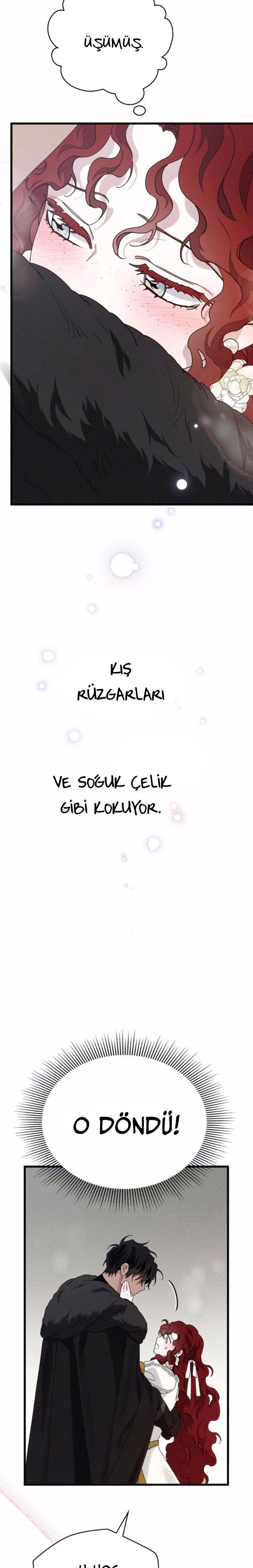 21-cm355pvvs0000ieyxlberxfl4