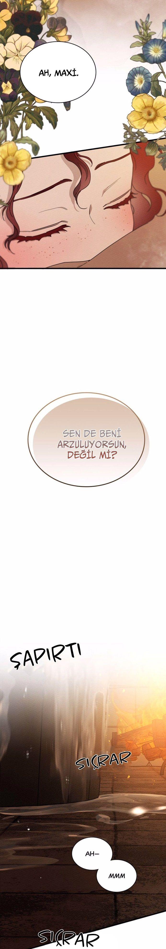 23-cm355pvvs0000ieyxlberxfl4