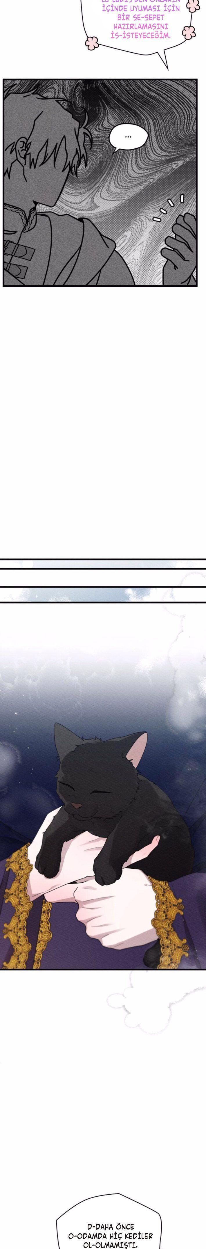 11-cm355pvvs0000ieyxlberxfl4
