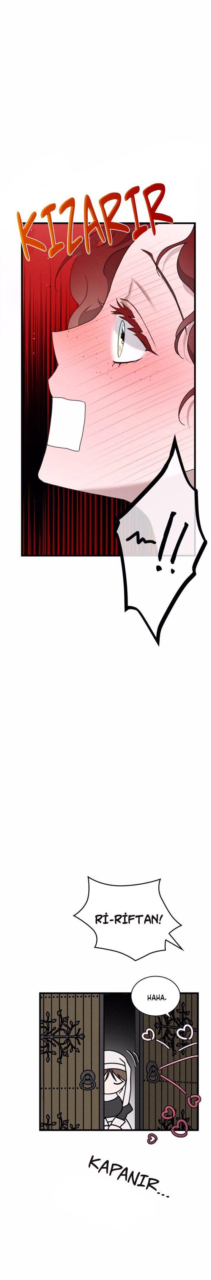 5-cm355pvvs0000ieyxlberxfl4