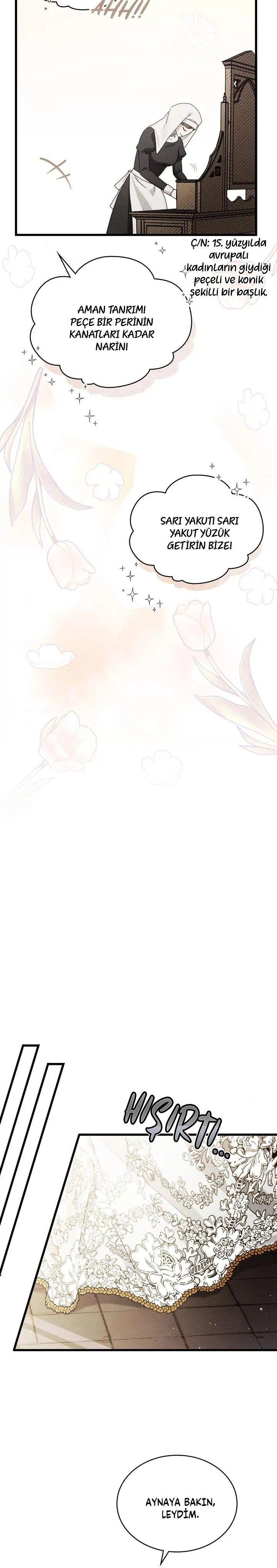 7-cm355pvvs0000ieyxlberxfl4