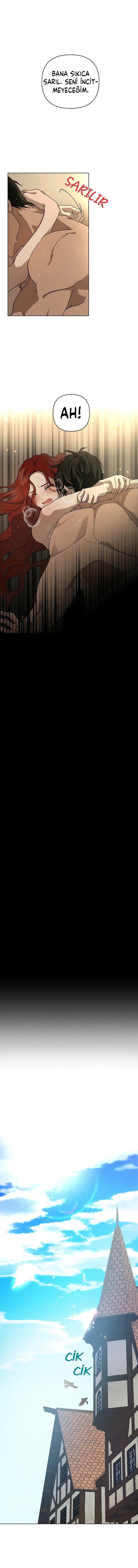 10-cm355pvvs0000ieyxlberxfl4
