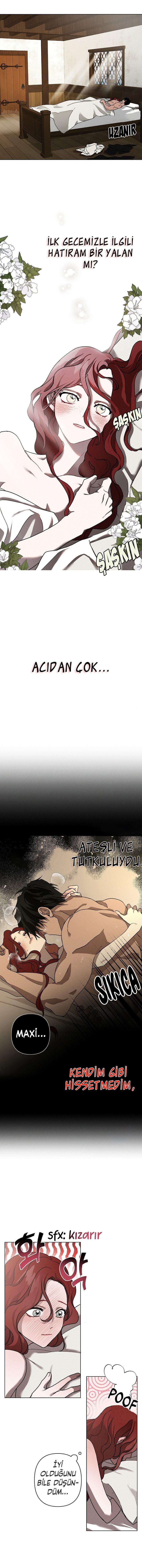 11-cm355pvvs0000ieyxlberxfl4