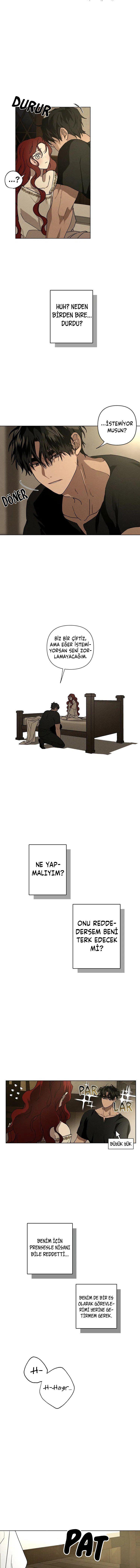 6-cm355pvvs0000ieyxlberxfl4