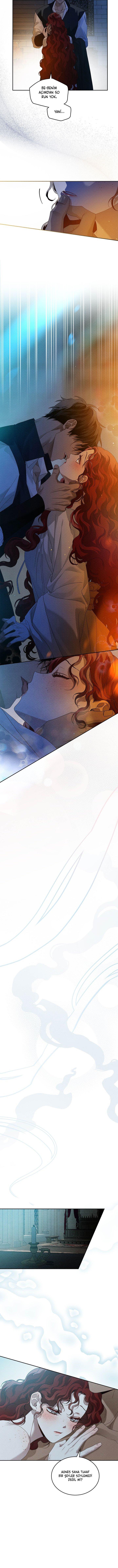 8-cm355pvvs0000ieyxlberxfl4