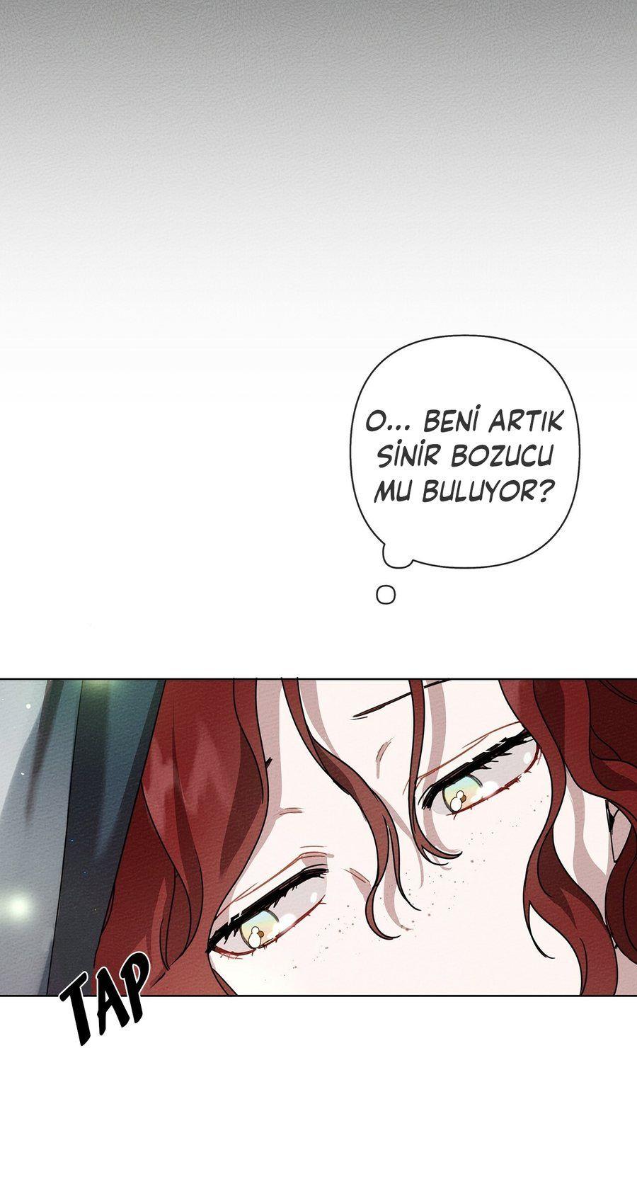 25-cm355pvvs0000ieyxlberxfl4
