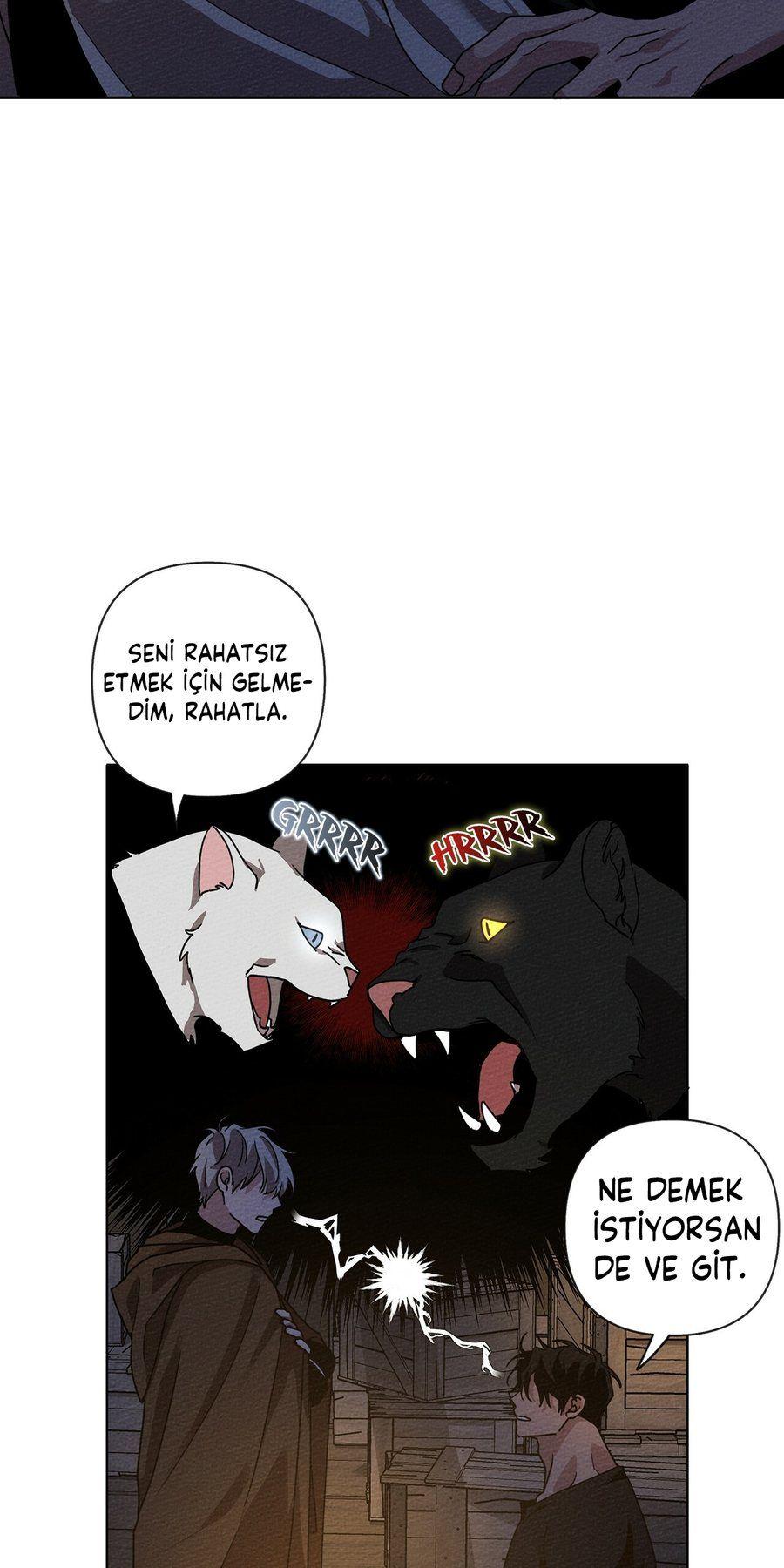3-cm355pvvs0000ieyxlberxfl4