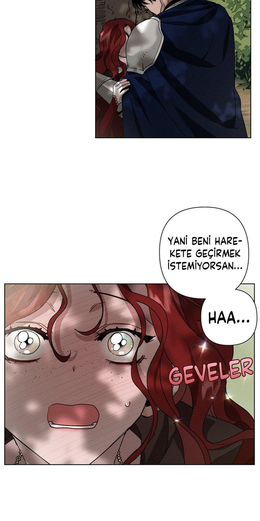 46-cm355pvvs0000ieyxlberxfl4