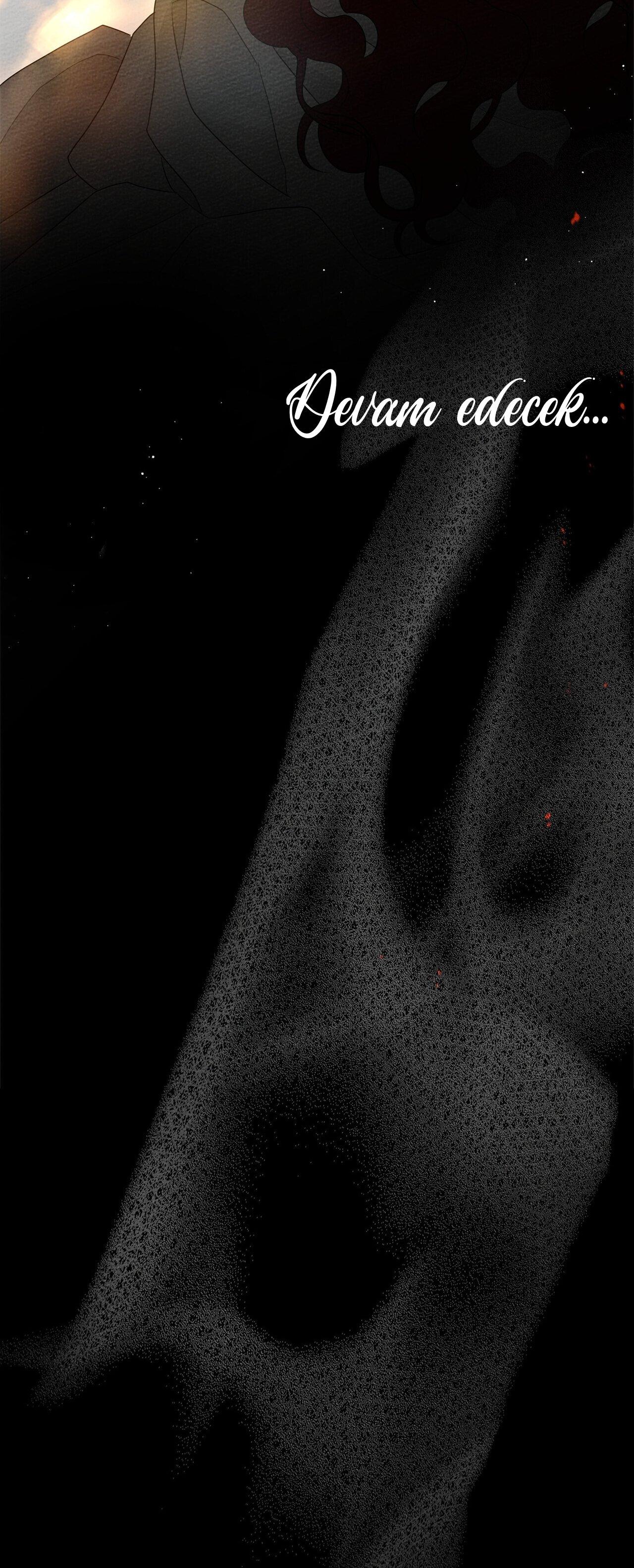48-cm355pvvs0000ieyxlberxfl4
