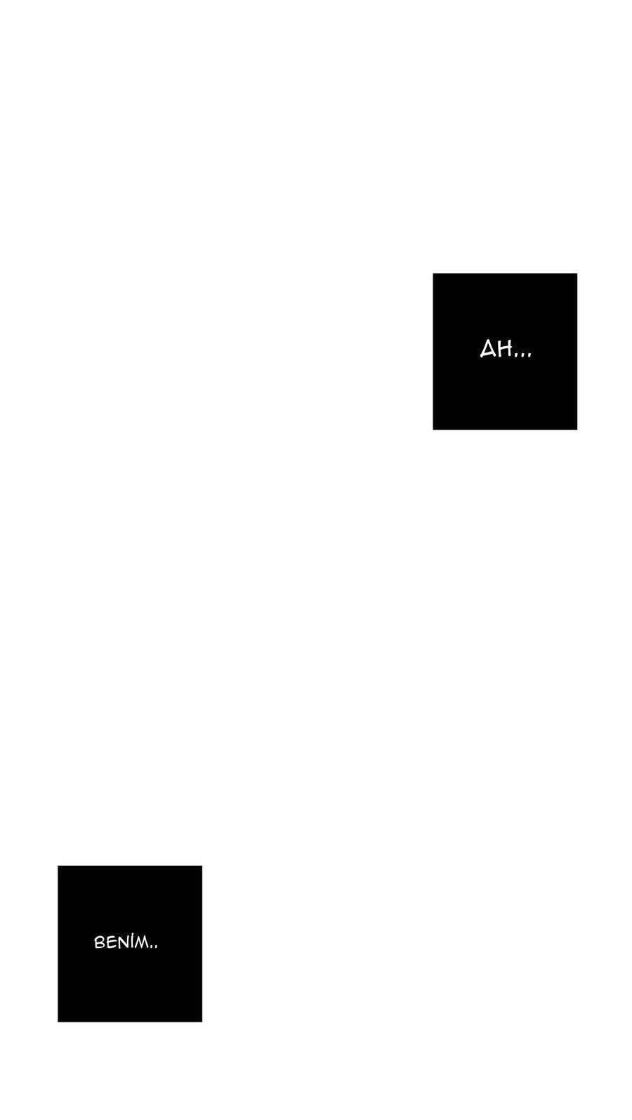 80-cm355pvvs0000ieyxlberxfl4
