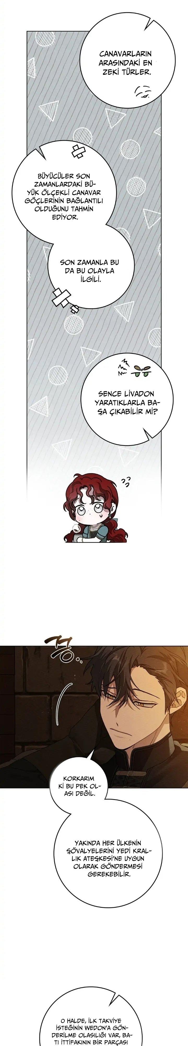 3-cm355pvvs0000ieyxlberxfl4