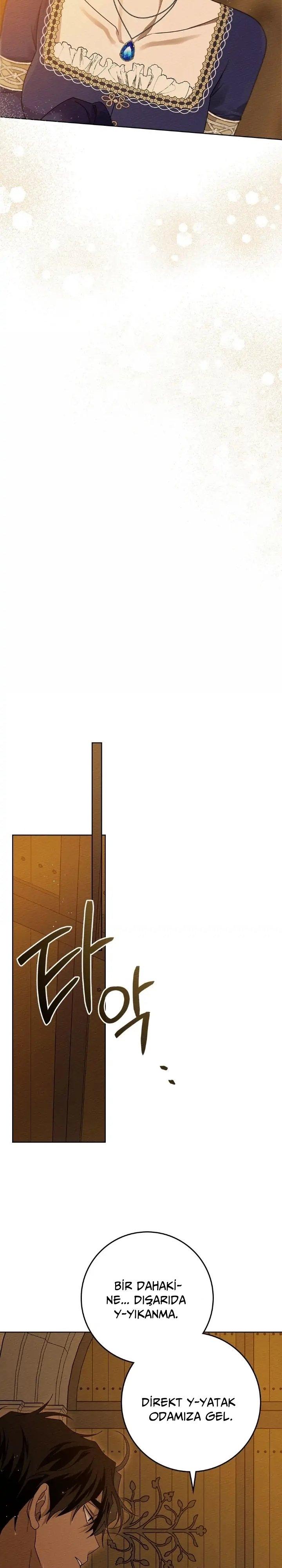28-cm355pvvs0000ieyxlberxfl4