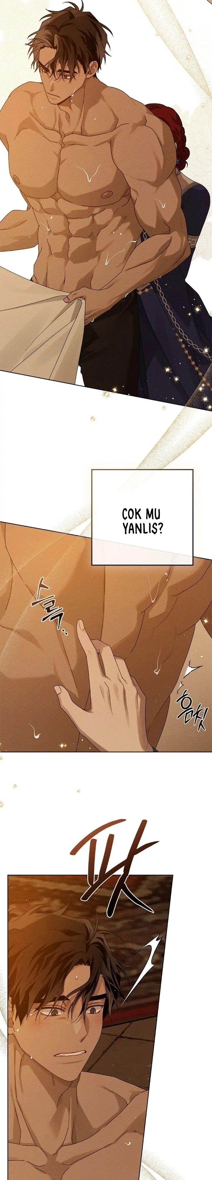 9-cm355pvvs0000ieyxlberxfl4