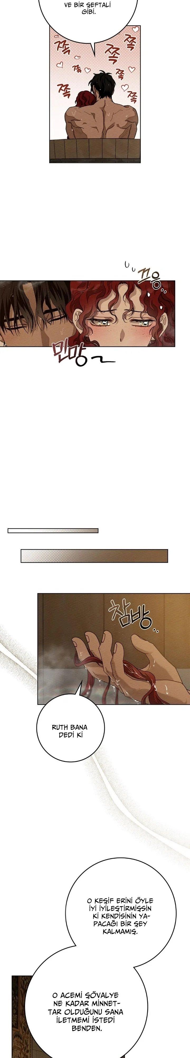 15-cm355pvvs0000ieyxlberxfl4