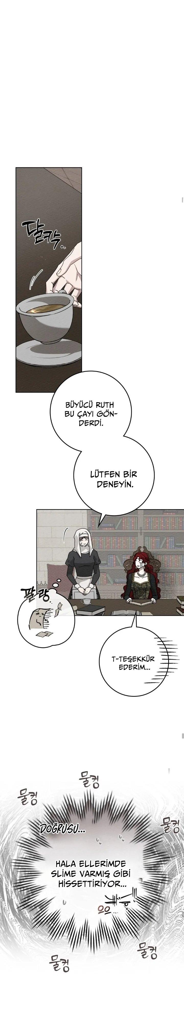 18-cm355pvvs0000ieyxlberxfl4