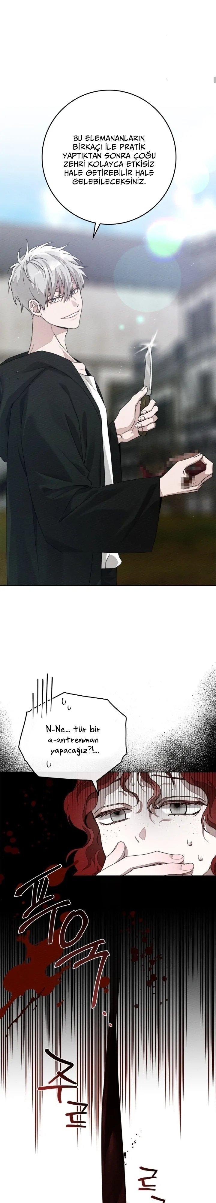 8-cm355pvvs0000ieyxlberxfl4