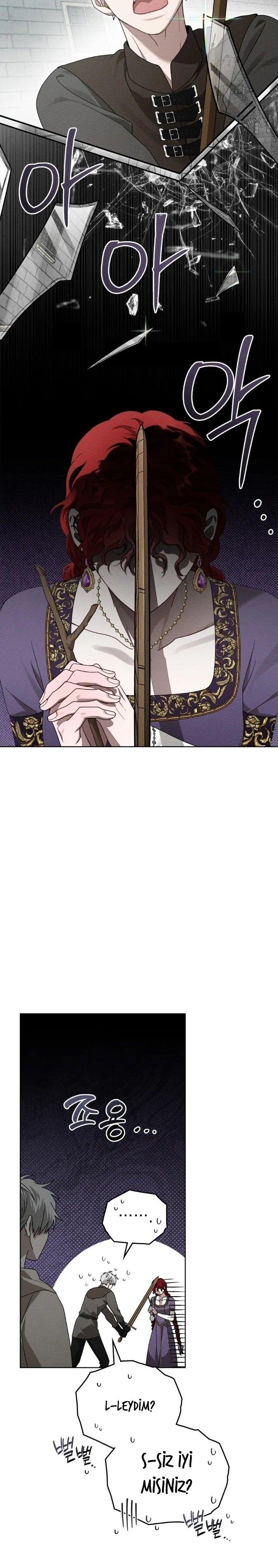 23-cm355pvvs0000ieyxlberxfl4