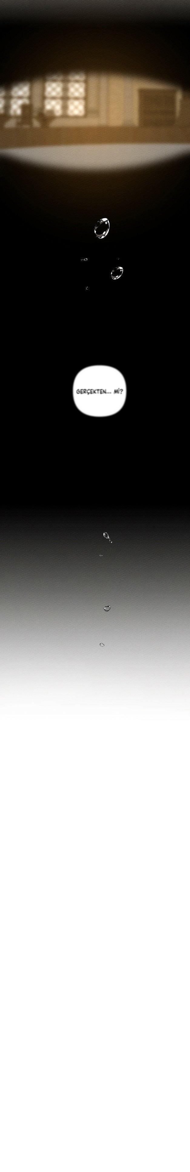 8-cm355pvvs0000ieyxlberxfl4