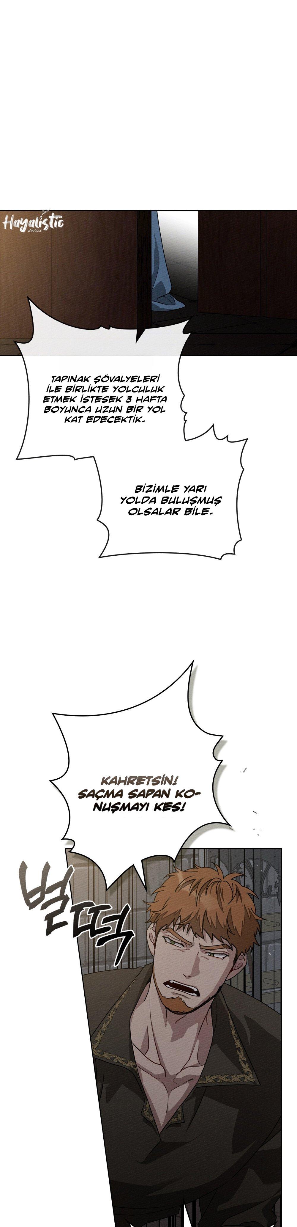 25-cm355pvvs0000ieyxlberxfl4