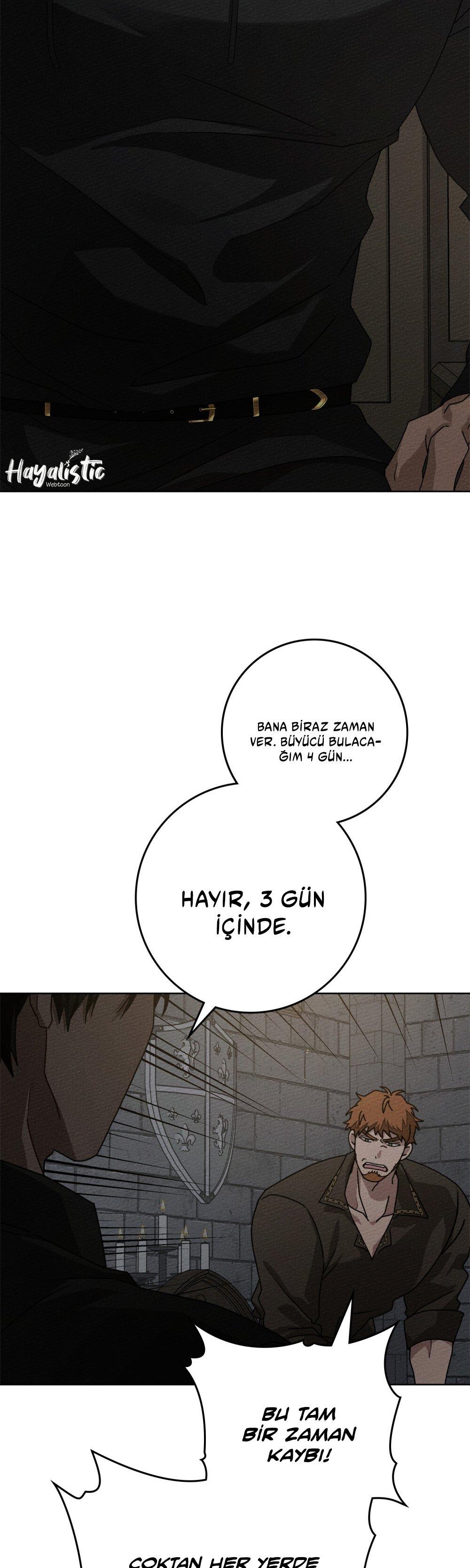 28-cm355pvvs0000ieyxlberxfl4
