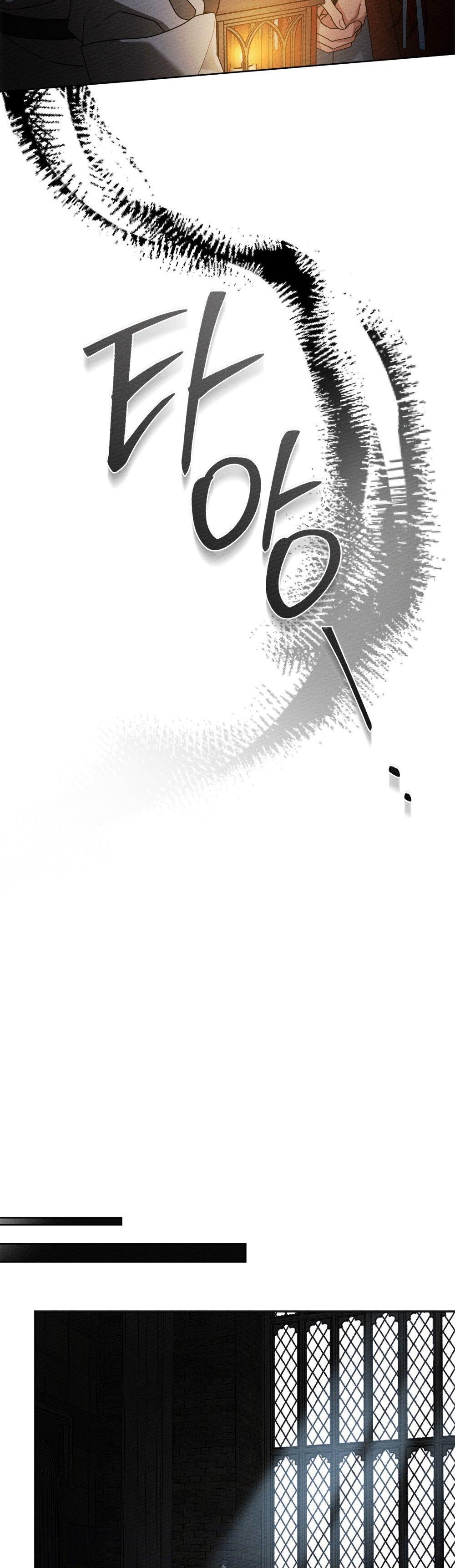 40-cm355pvvs0000ieyxlberxfl4