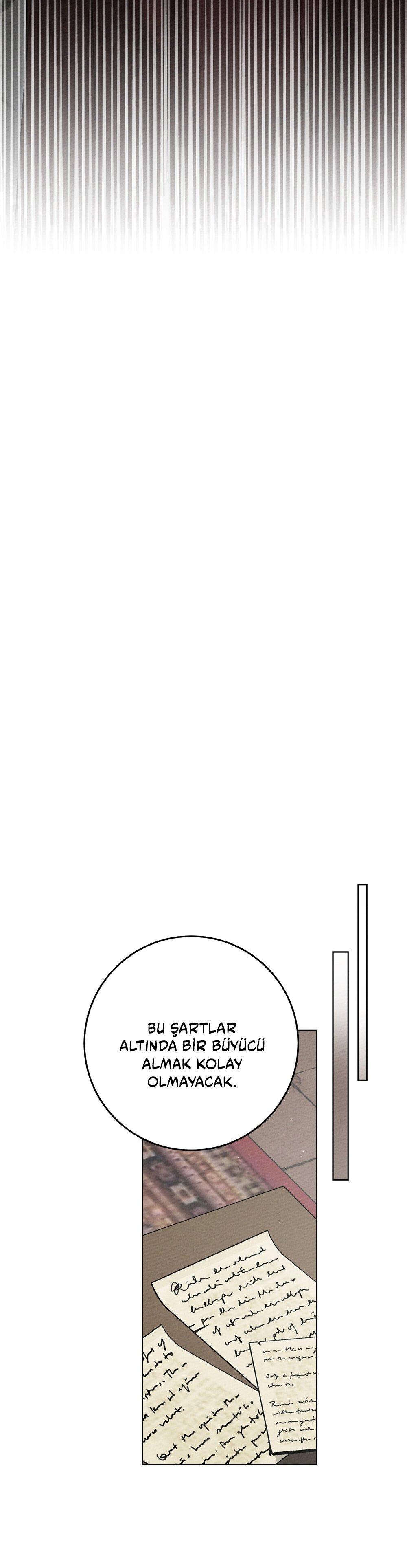 49-cm355pvvs0000ieyxlberxfl4