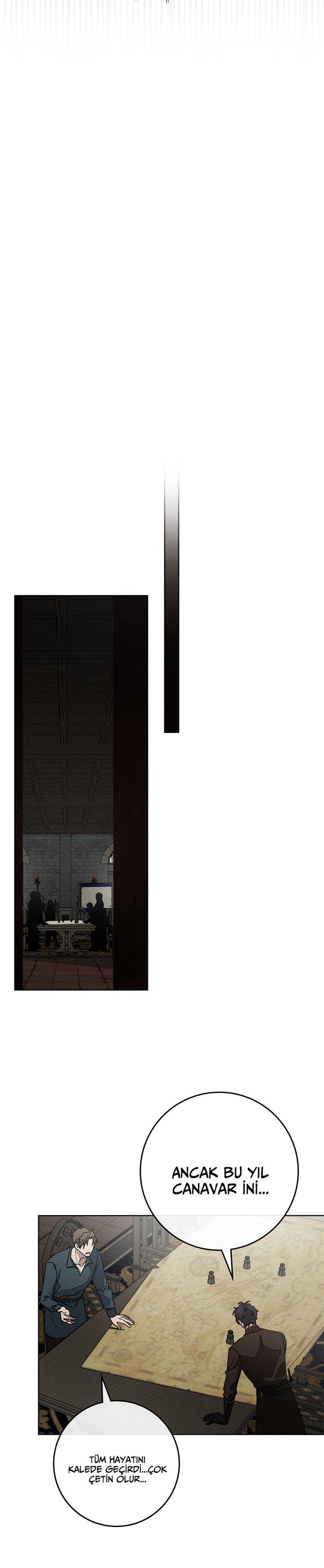 25-cm355pvvs0000ieyxlberxfl4