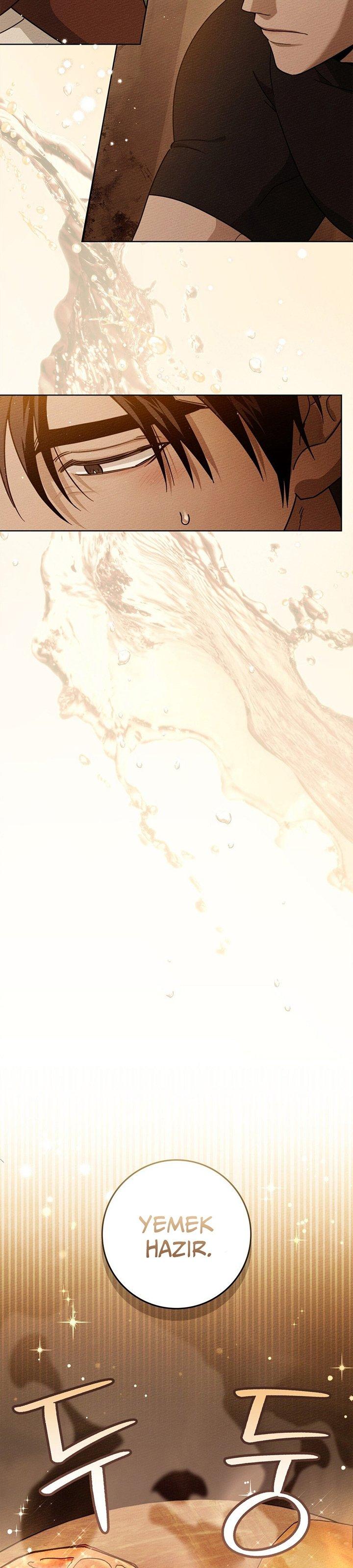 22-cm355pvvs0000ieyxlberxfl4