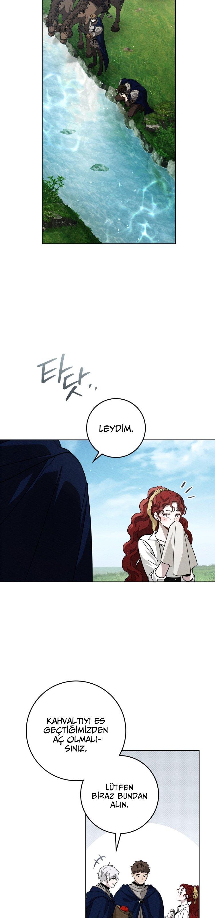 8-cm355pvvs0000ieyxlberxfl4