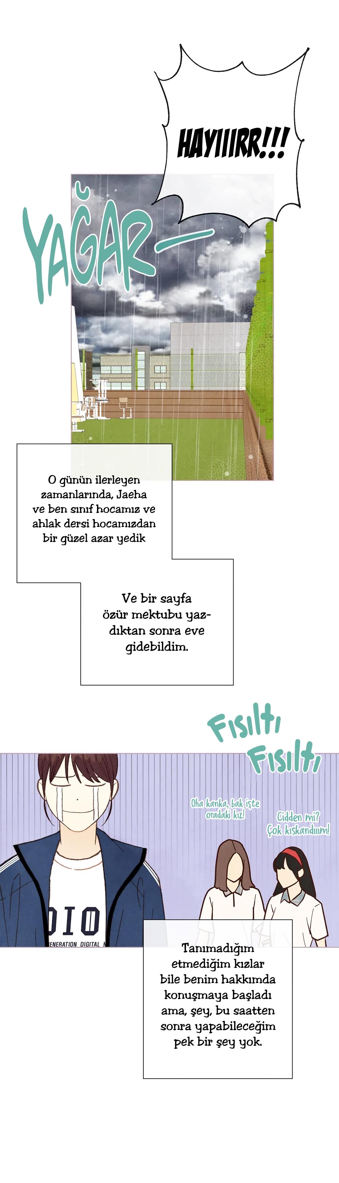 20-cm2xdfr0s0001tt82570od8ls