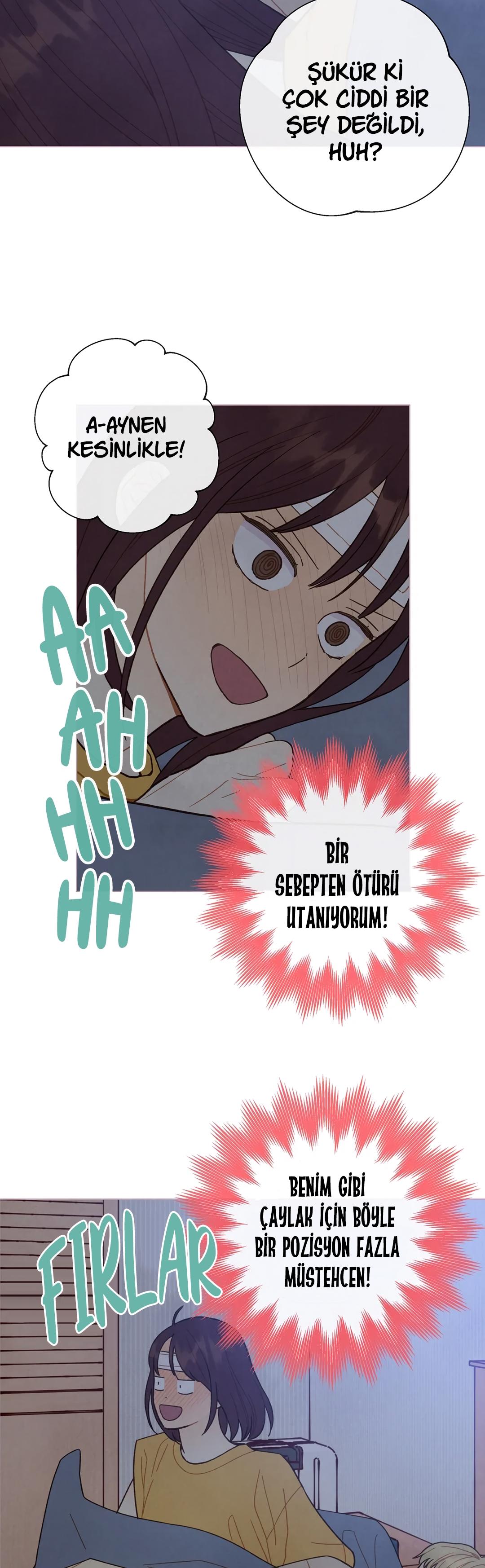 10-cm2xdfr0s0001tt82570od8ls