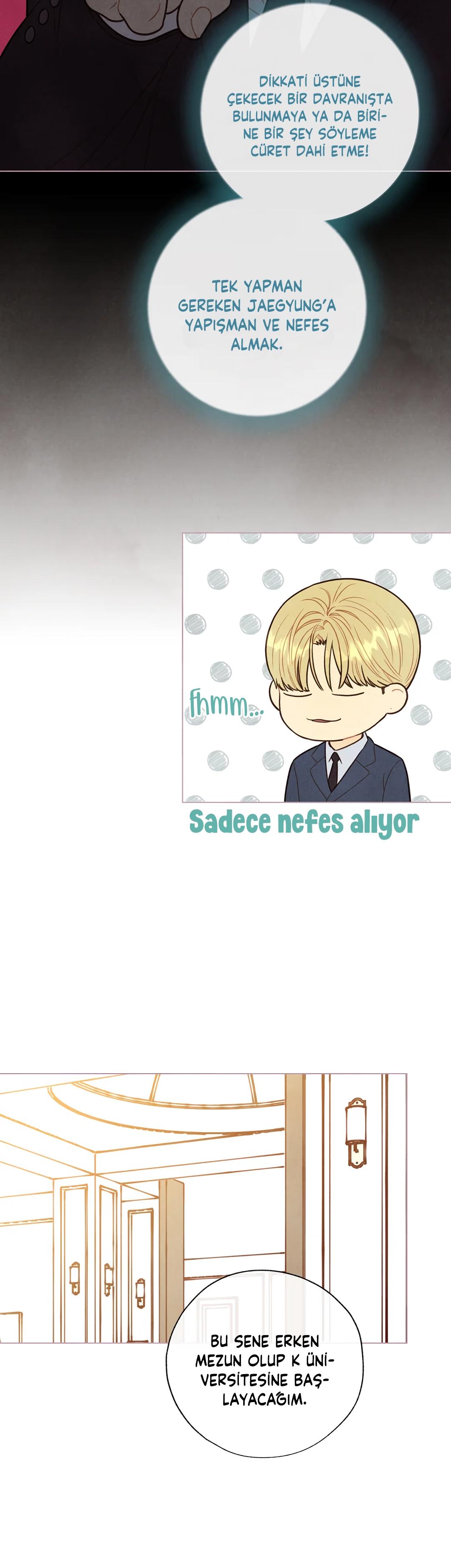 5-cm2xdfr0s0001tt82570od8ls
