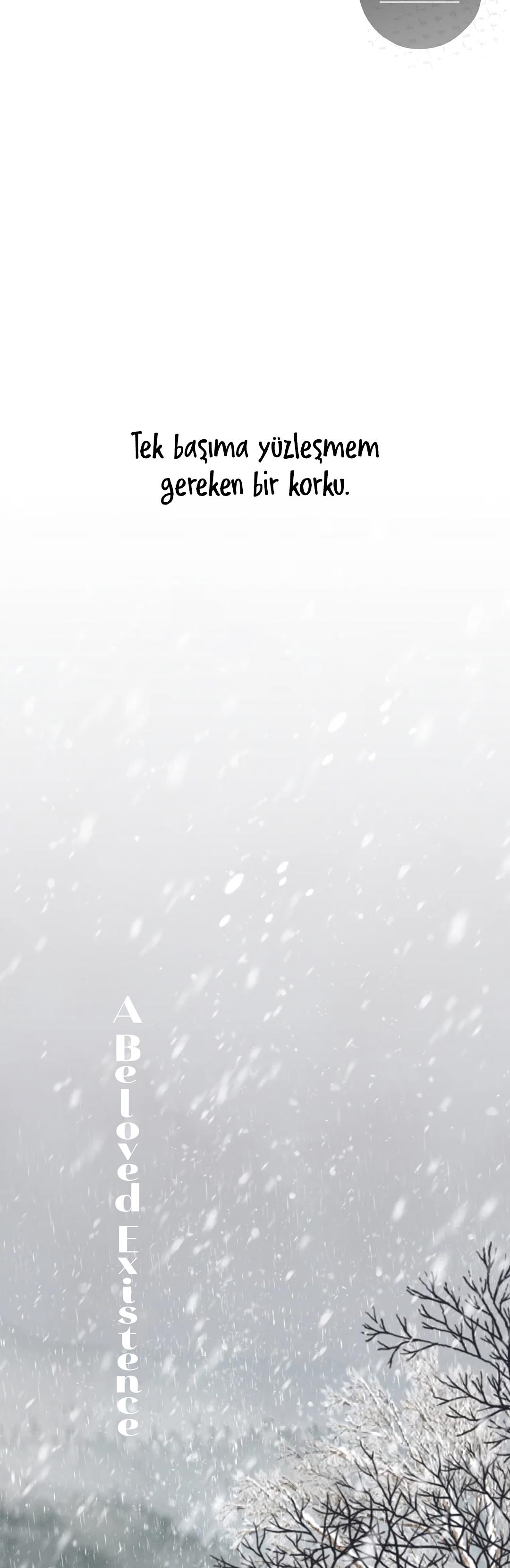 24-cm2xdfr0s0001tt82570od8ls