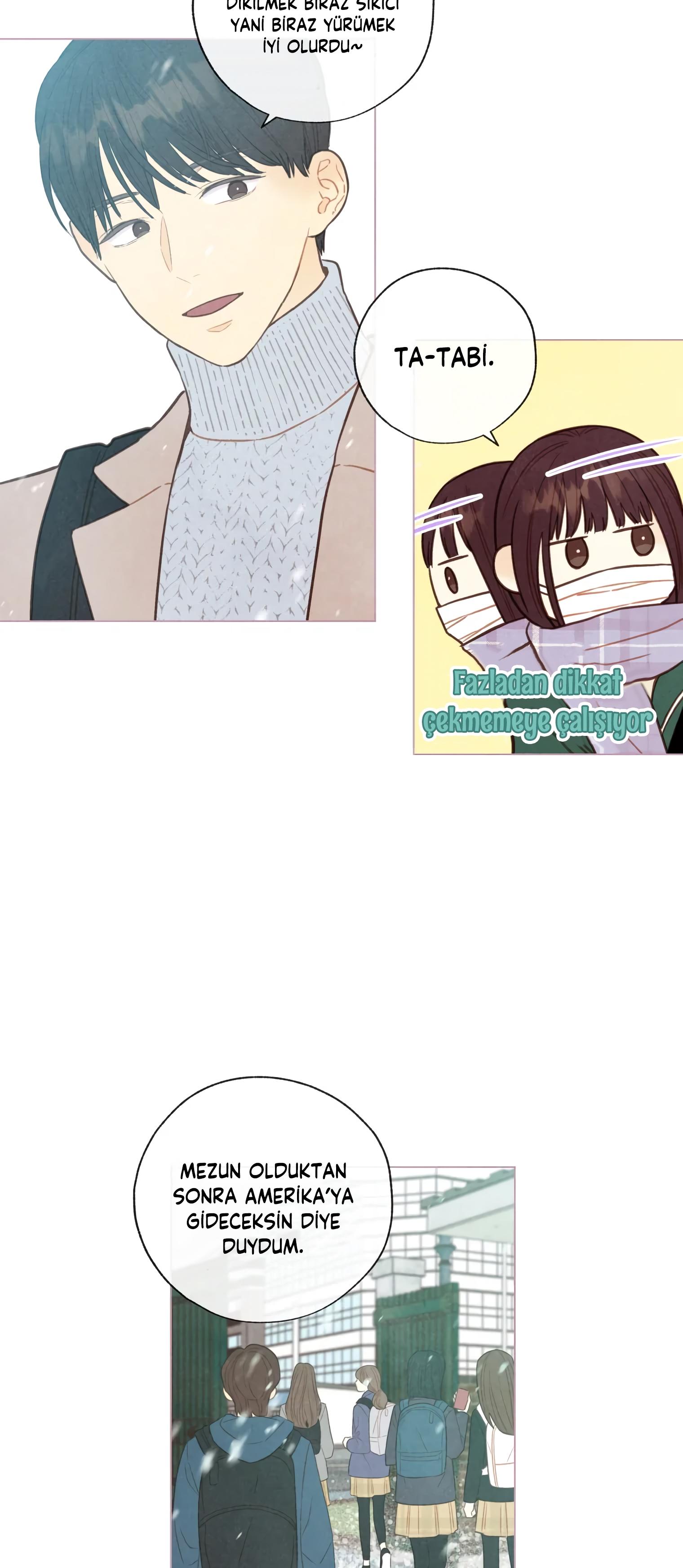 3-cm2xdfr0s0001tt82570od8ls