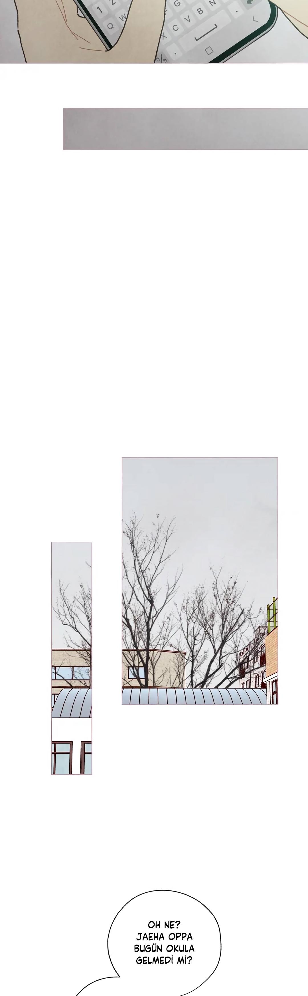 27-cm2xdfr0s0001tt82570od8ls