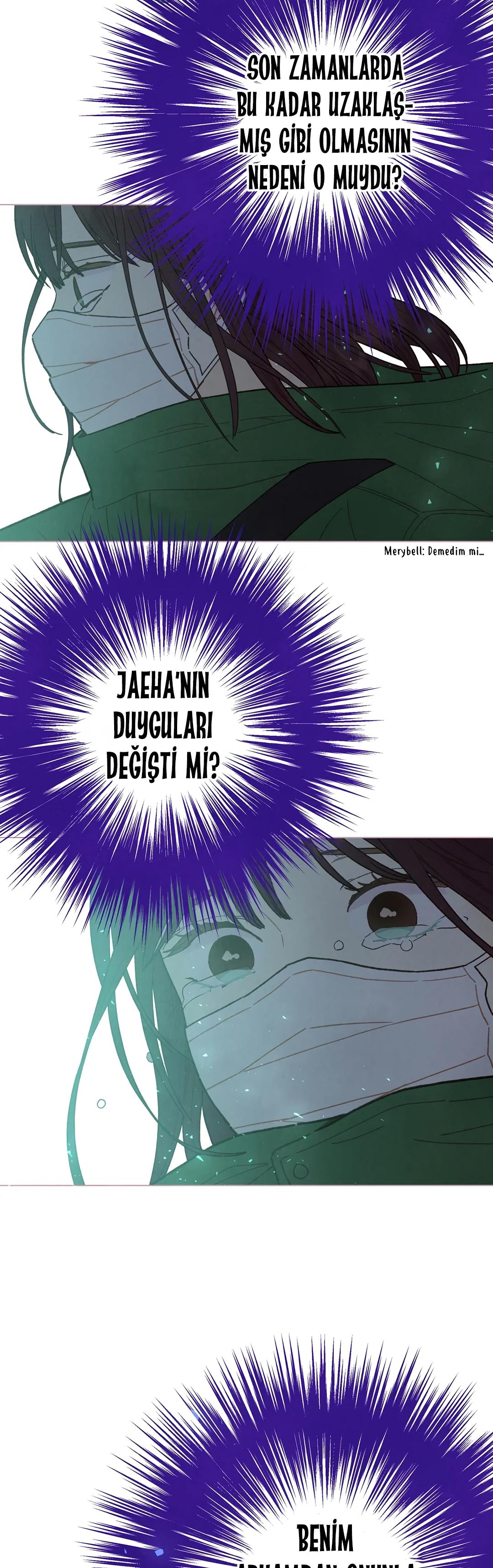 12-cm2xdfr0s0001tt82570od8ls